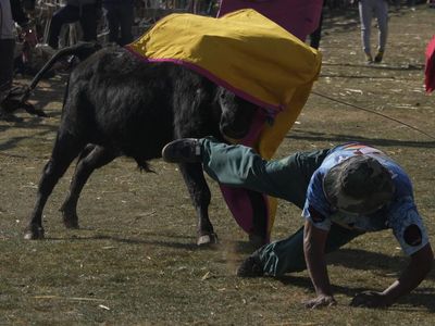 Melihat Festival Adu Banteng Terbesar di Bolivia