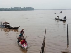 Nelayan di Rohil Tewas Diterkam Buaya saat Mencari Ikan