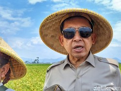 Profil Fadli Zon Menteri Kebudayaan Prabowo-Gibran