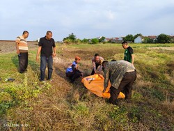 2 Hari Jelang Nikah, Pria Yatim Piatu di Cirebon Tewas Tertabrak Kereta