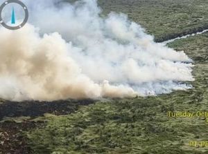 Luasan Karhutla September di Sumsel Naik Drastis, Total 9.697 Hektare