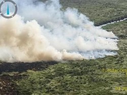 Luasan Karhutla September di Sumsel Naik Drastis, Total 9.697 Hektare