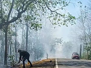 Hutan TN Baluran Terbakar, Asap Ganggu Pengguna Jalan Jalur Pantura Hutan TN Baluran Terbakar, Asap Ganggu Pengguna Jalan Jalur Pantura