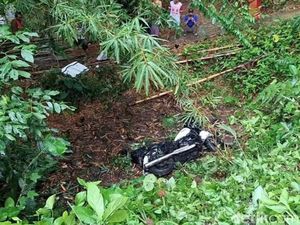 Noviarie Chistian Lolos dari Maut Saat Moge Jatuh ke Jurang di Banjar Noviarie Chistian Lolos dari Maut Saat Moge Jatuh ke Jurang di Banjar