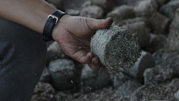 Leburan Uang Kertas Jadi Bahan Bakar PLTU