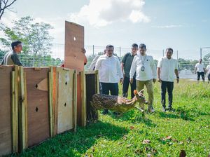 Istana Kepresidenan Bogor Hibahkan 15 Ekor Rusa Totol ke Taman Cadika Medan Istana Kepresidenan Bogor Hibahkan 15 Ekor Rusa Totol ke Taman Cadika Medan
