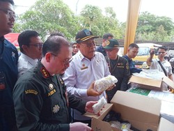 NTB Ekspor Vanili-Mutiara Senilai Rp 17 Miliar ke AS dan Australia