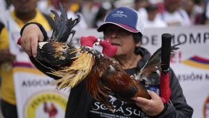 Warga Kolombia Protes RUU Larangan Sabung Ayam