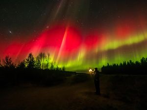 Matahari di Fase Solar Maximum, NASA Ungkap Dampaknya