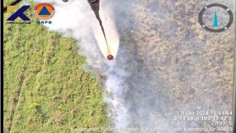 BPBD Sebut Karhutla di Sumsel Ada 394 Kasus hingga 31 Agustus 2025