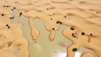 Danau di Gurun Sahara Terisi Banjir Akibat Curah Hujan Ekstrem