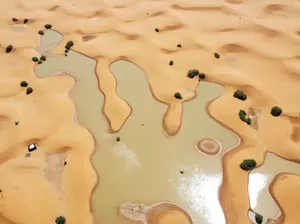 Danau di Gurun Sahara Terisi Banjir Akibat Curah Hujan Ekstrem