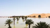 Potret Danau yang Mendadak Muncul di Gurun Sahara