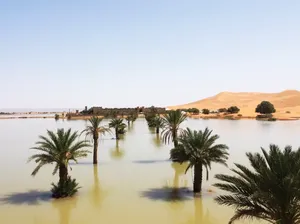 Potret Danau yang Mendadak Muncul di Gurun Sahara Potret Danau yang Mendadak Muncul di Gurun Sahara