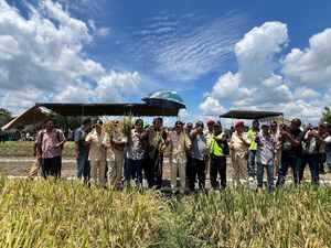 Syah Afandin Bakal Jadikan Langkat Lumbung Pangan Nasional
