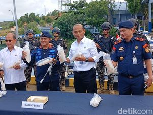 Penyelundupan Benih Lobster Senilai Rp 13 Miliar di Batam Digagalkan Penyelundupan Benih Lobster Senilai Rp 13 Miliar di Batam Digagalkan