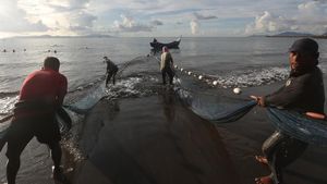 Melihat Nelayan Tradisional Aceh Menangkap Ikan