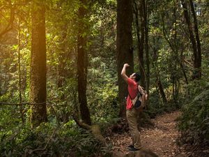 8 Tips Jika Tersesat di Hutan Saat Mendaki Gunung 8 Tips Jika Tersesat di Hutan Saat Mendaki Gunung