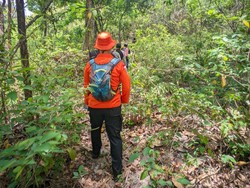Bawa Cangkul dari Rumah, Manadi Hilang di Hutan Cirebon