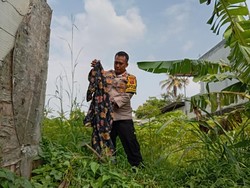 Polisi Ungkap Hasil Autopsi Nenek Onong yang Tewas di Kebun Singkong Bogor