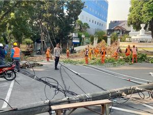 Tiang Listrik-Pohon Tumbang di Srengseng Jakbar, Lalin Sempat Macet