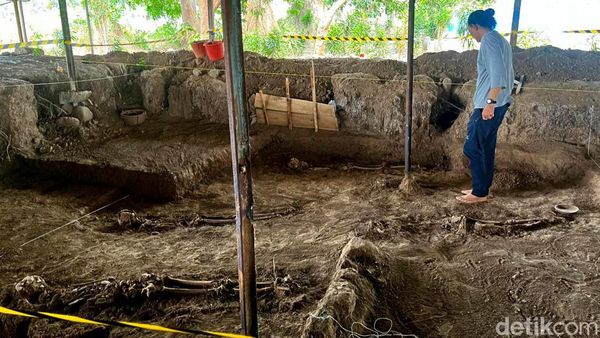 5 Kerangka Manusia Ditemukan saat Ekskavasi Istana Bhre Wengker di Mojokerto