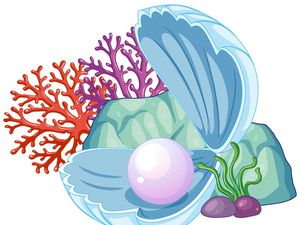 Bagaimana Kerang Bisa Menghasilkan Mutiara? Begini Penjelasan Prosesnya