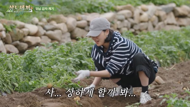 Kim Go Eun saat menggali kentang di Three Meals A Day: Light (2024)/Foto: TVING