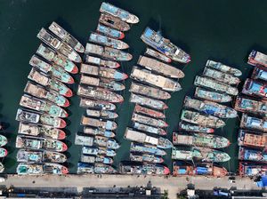 Foto Udara Pelabuhan Muara Baru Jakarta