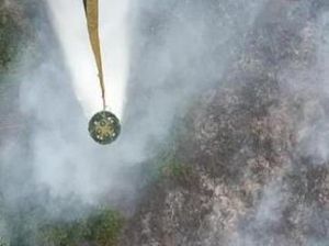 Pemadaman Jalur Udara Digeber, Begini Kondisi Karhutla di 4 Daerah