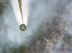 Pemadaman Jalur Udara Digeber, Begini Kondisi Karhutla di 4 Daerah