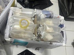 Gudang Penampungan Benih Lobster di Lampung Digerebek Polisi, 14 Orang Diamankan