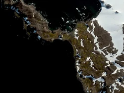 Antartika Menghijau, Tanda Bahaya Suhu Panas Meningkat