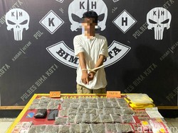 Mahasiswa Dompu Ditangkap Hendak Edarkan Ganja di Bima