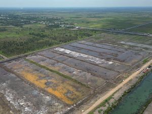 Ombudsman Dukung Cetak Sawah Bangun Irigasi untuk Genjot Produksi Padi Ombudsman Dukung Cetak Sawah Bangun Irigasi untuk Genjot Produksi Padi