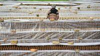 Duh! Produksi Batu Bata di Deli Serdang Menurun