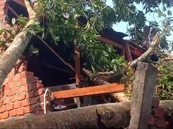 Rumah di Lubuklinggau Hancur Tertimpa Pohon Akibat Hujan dan Angin Kencang