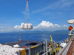 Industri Wood Pellet Setor 60% Devisa Ekspor Gorontalo