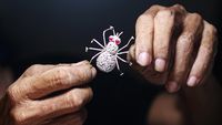 Melihat Perajin Tradisional Bikin Perhiasan Perak di Kendari