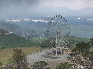 Sensasi Menikmati Hamparan Kebun Teh Malabar Naik Bianglala Raksasa Sensasi Menikmati Hamparan Kebun Teh Malabar Naik Bianglala Raksasa