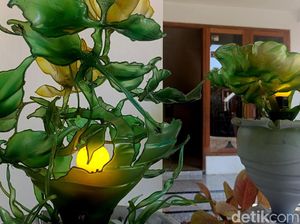 Sulap Galon Bekas Jadi Lampu Hias Cantik Sulap Galon Bekas Jadi Lampu Hias Cantik