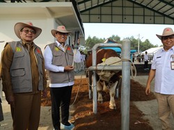 Wamentan Sudaryono Ungkap Alasan Harus Impor 1,3 Juta Sapi di Era Prabowo