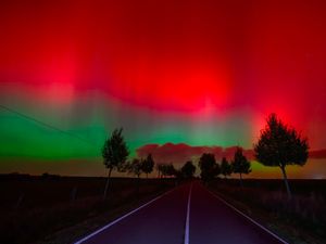 Apa Beda Aurora Hijau dan Merah di Film Sore? Ini Penjelasan Ilmiahnya Apa Beda Aurora Hijau dan Merah di Film Sore? Ini Penjelasan Ilmiahnya