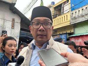 Jejak Kinerja Ridwan Kamil dari Profesional-Pemerintahan