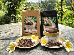 Sensasi Menikmati Kopi Luwak dan Teh Aneka Aroma di Kintamani