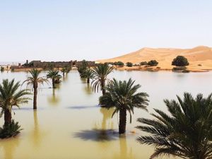 Penampakan Gurun Sahara Dilanda Banjir Pertama dalam 50 Tahun Penampakan Gurun Sahara Dilanda Banjir Pertama dalam 50 Tahun