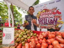 Bisa Panen hingga 3 Ton, Petani Jambu Citra di Kudus Terbantu KUR BRI