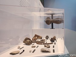 Kala Fosil Purbakala Dipamerkan di Lobi Kantor Setda Ciamis
