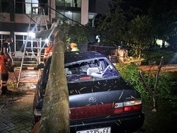 Bogor Sempat Diterjang Angin Kencang, Pohon 15 Meter Tumbang Timpa Mobil