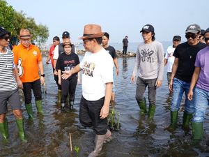 Kampanye Bareng Slank, Pramono Anung Tanam Mangrove di Marunda Jakut Kampanye Bareng Slank, Pramono Anung Tanam Mangrove di Marunda Jakut